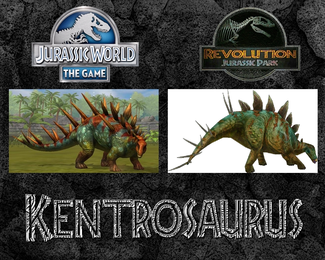 Kentrosaurus Comparison 1