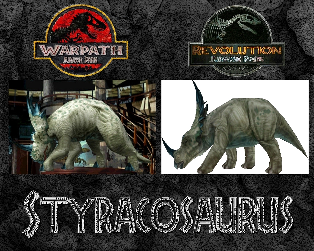 Styracosaurus Comparison 1