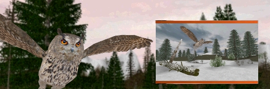 Eurasian Eagle Owl