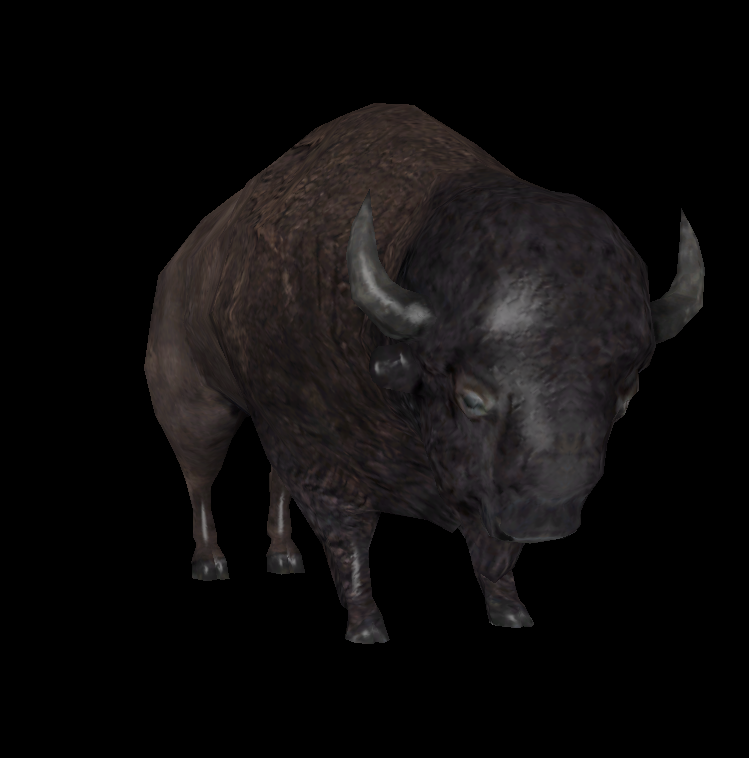 bison