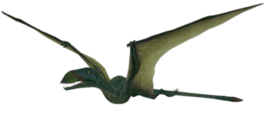 Dimorphodon V 2