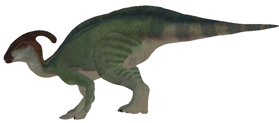 Parasaurolophus Female