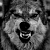 greywolf17