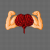 brainceps