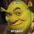 ShrekTheMLGGamer