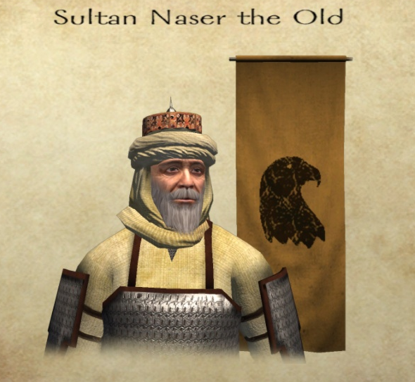 Ruler of Naserid Sultanate