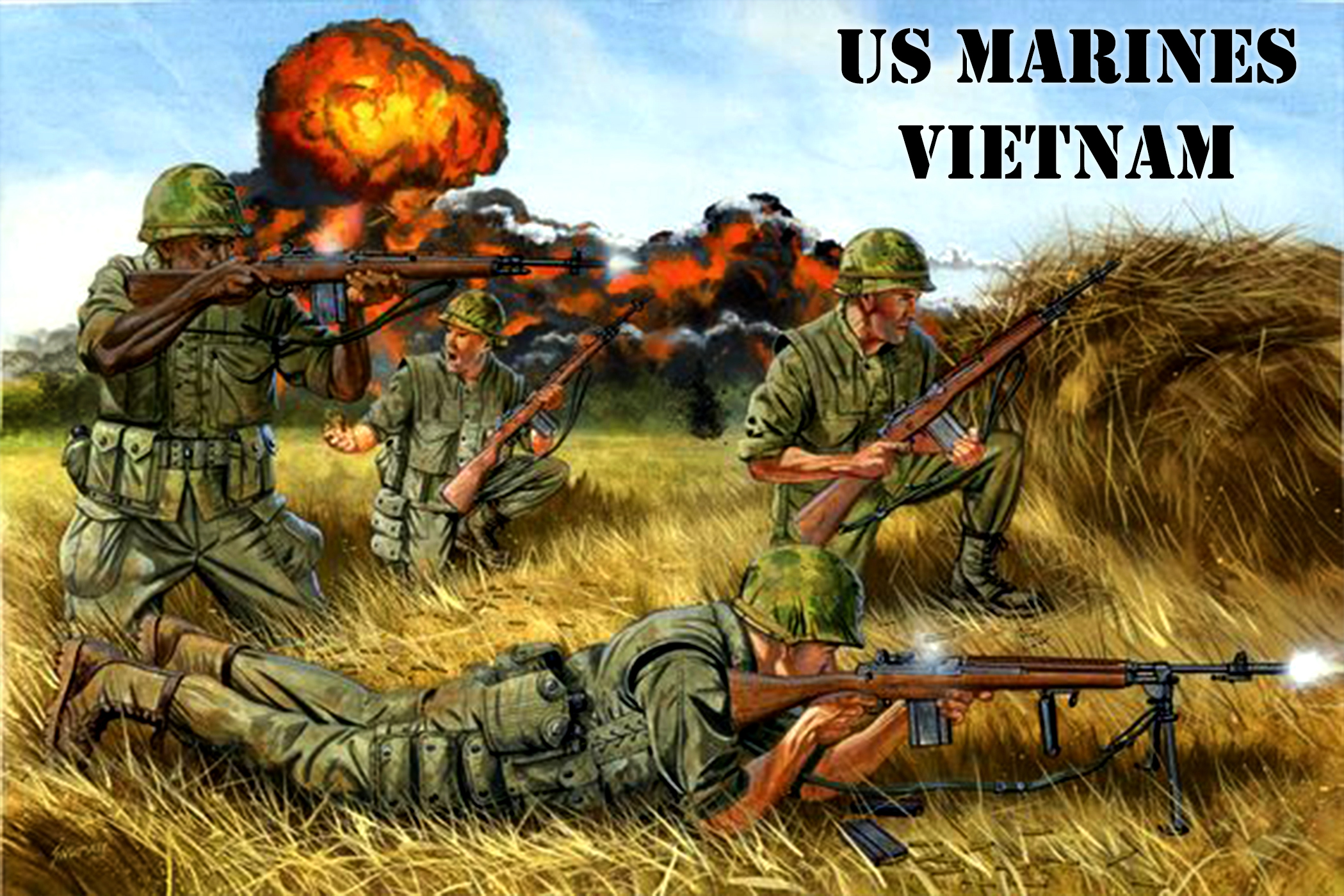 Vietnam Combat Operations US Mar