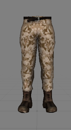 US Combat Pants