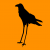 Long-Legged-Crow