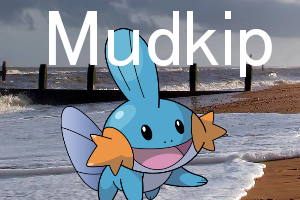 life size mudkip