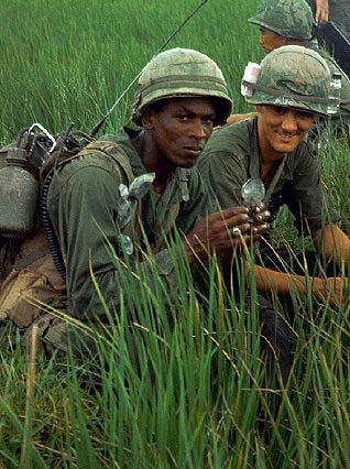 vietnam war fallen angels myers dean walter rice division 9th paddy soldiers field military infantry patrol veterans history fields richie