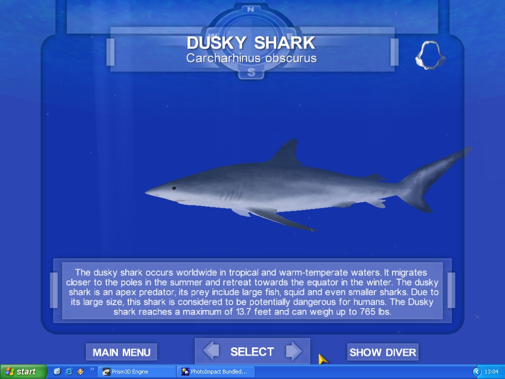 The Best Shark Games Of All Time - *Insert Hilarious and Original