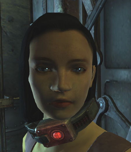 fallout 3 companion mods