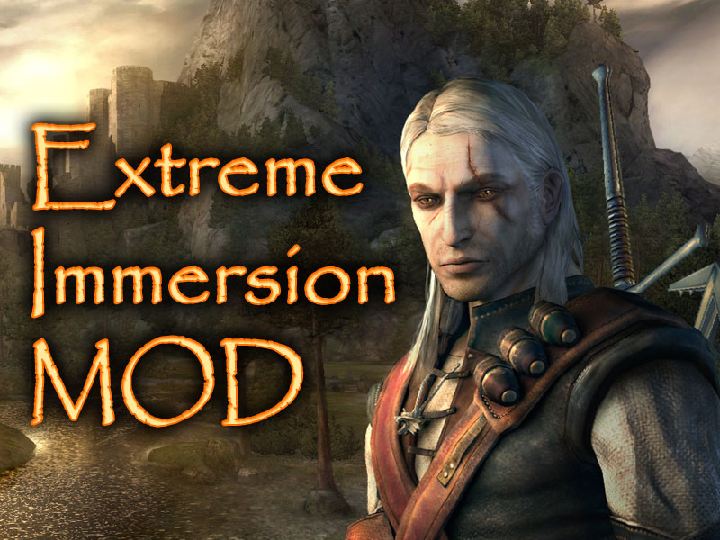 Minimal HUD image - The Witcher: Extreme Immersion Mod for The Witcher -  ModDB