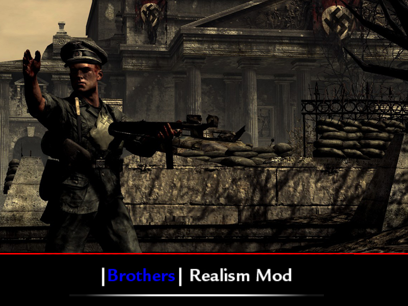 call of duty waw realism mod