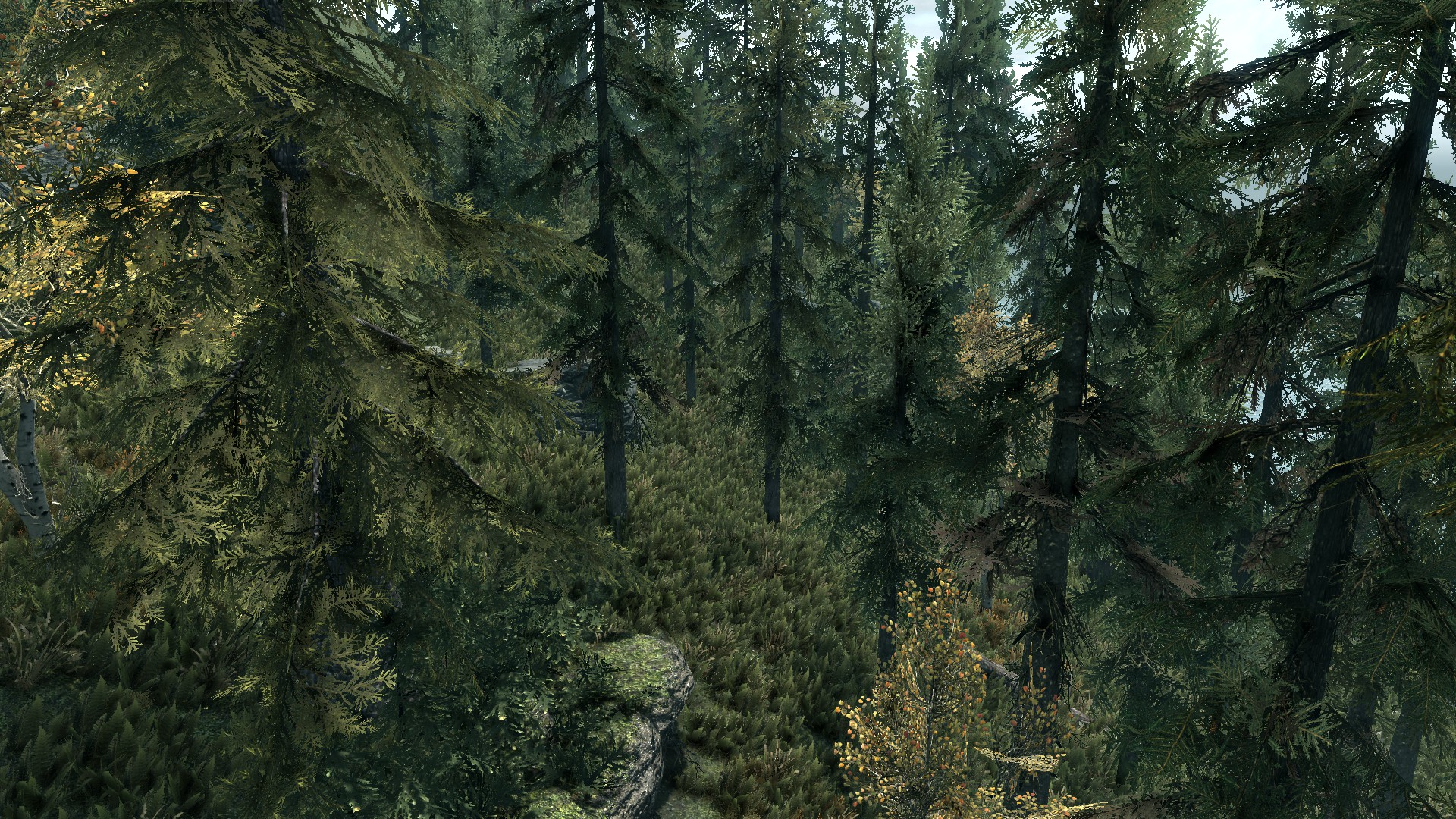 download mod api the forest download mod api the forest