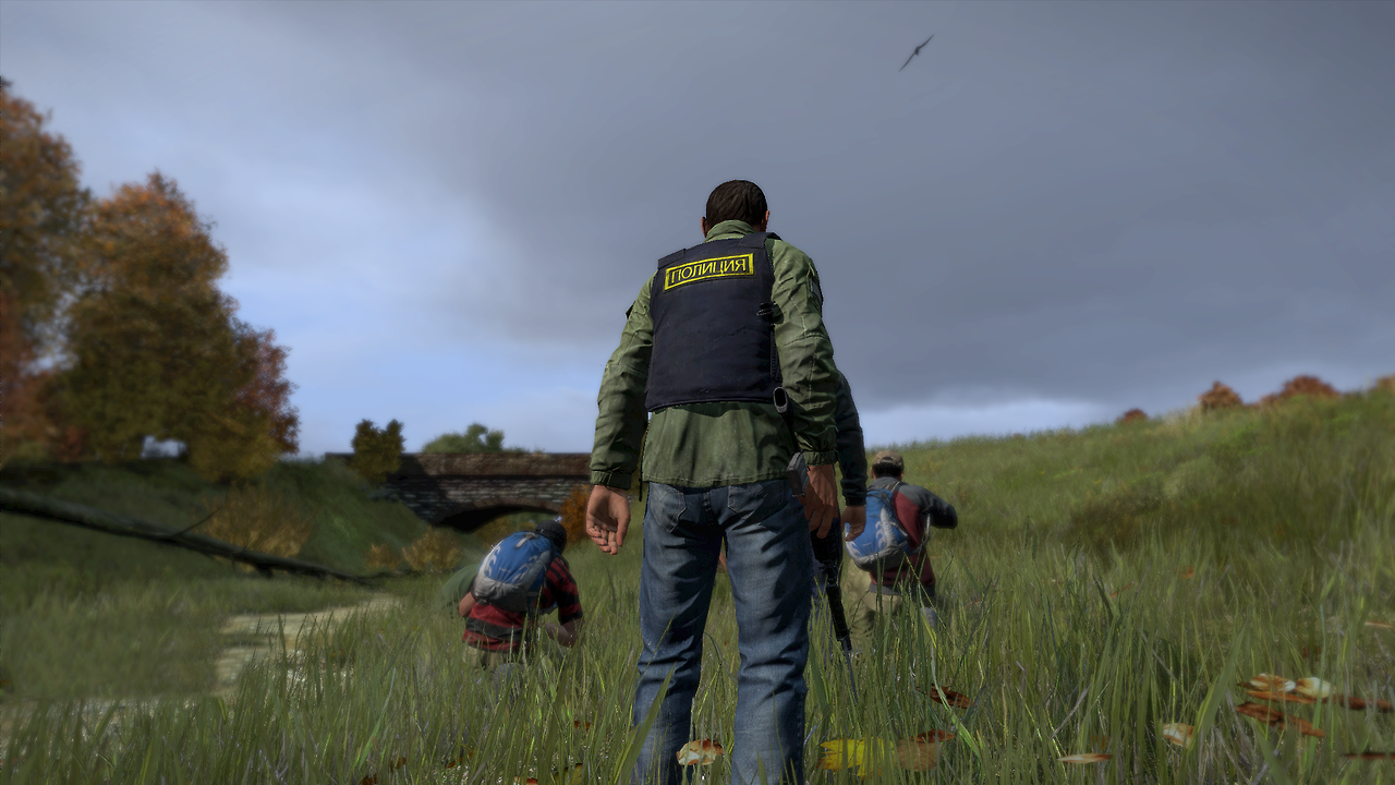Can you steam share dayz фото 107