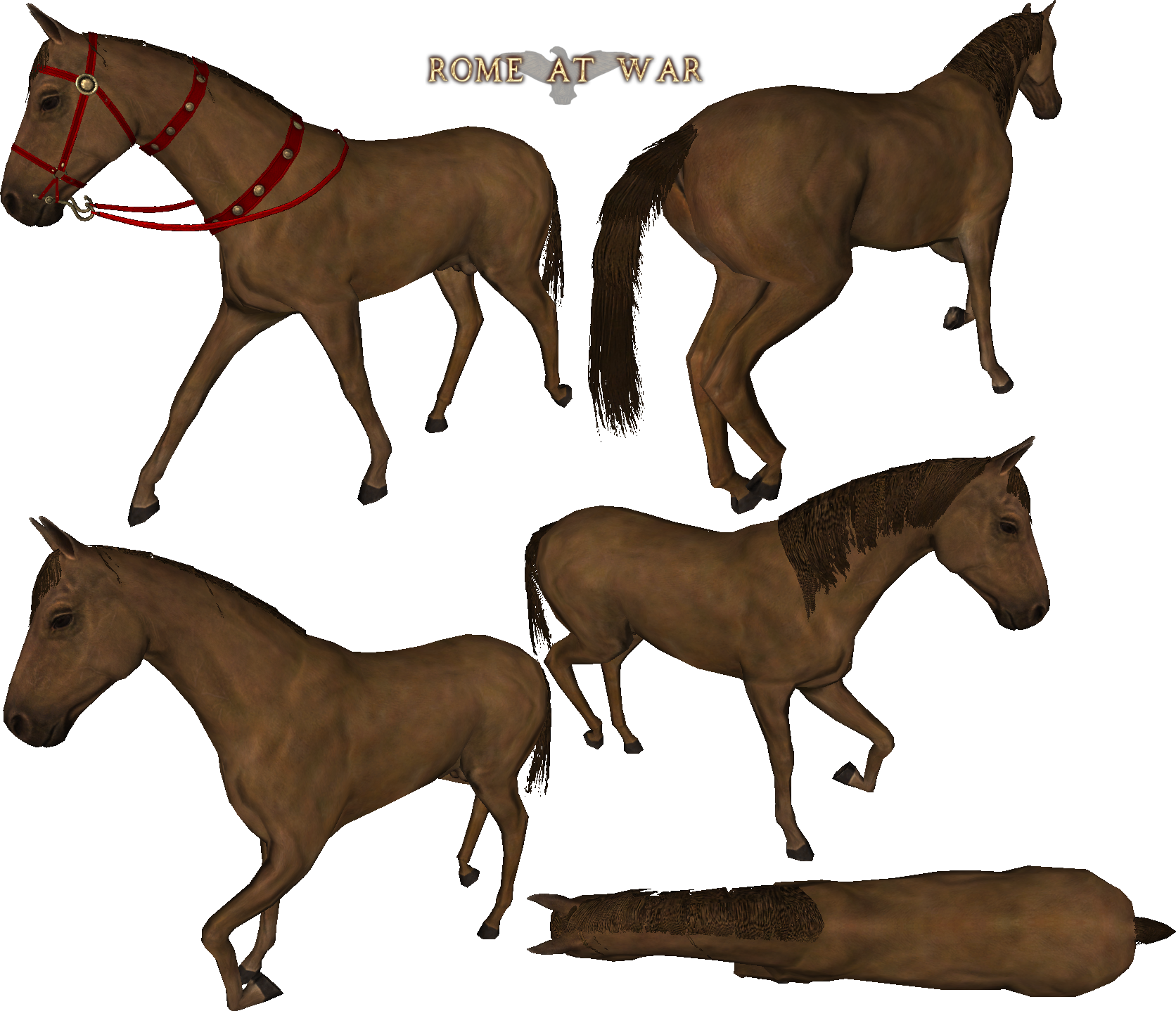 mount and blade horses in inventory