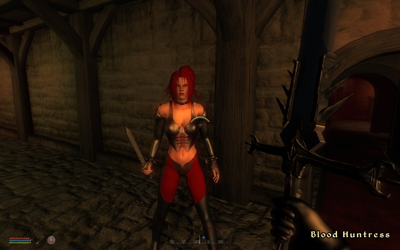 Vampire Hunters image - Unholy Darkness mod for Elder Scrolls IV: Oblivion.