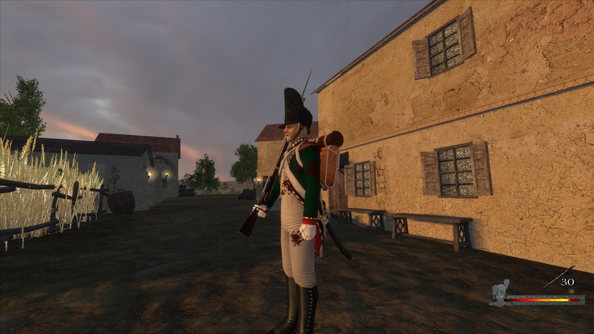 Mount blade napoleonic wars стим фото 56