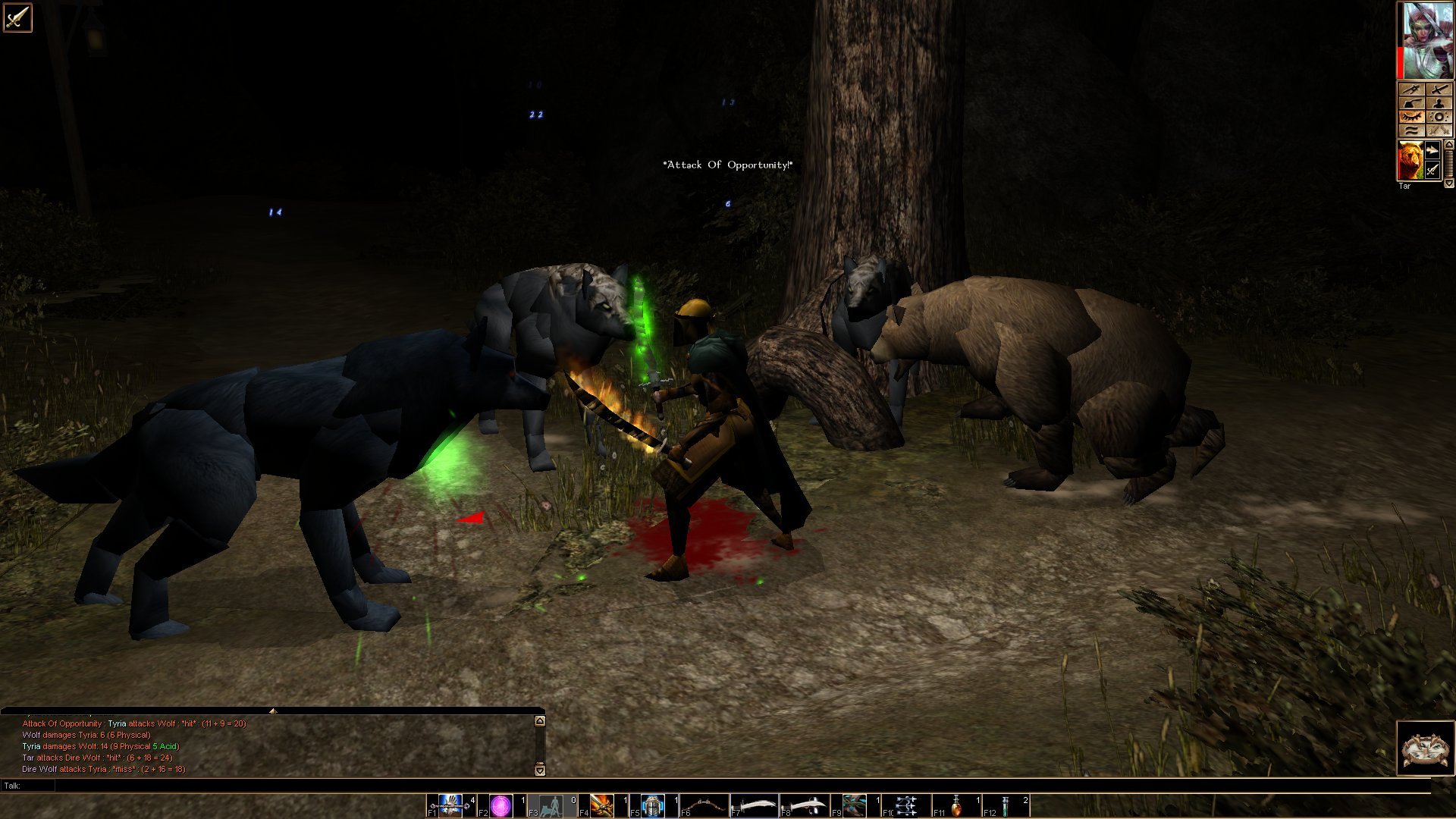 neverwinter nights platinum mod install neverwinter nights platinum mod install