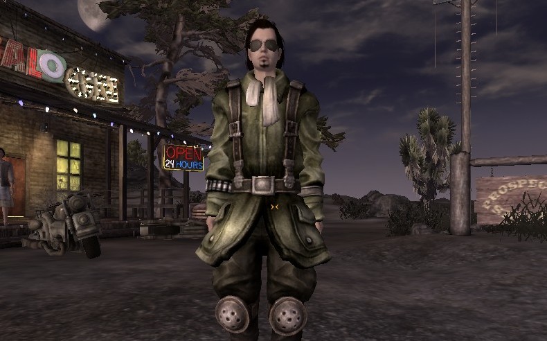 fallout 1 companion mod