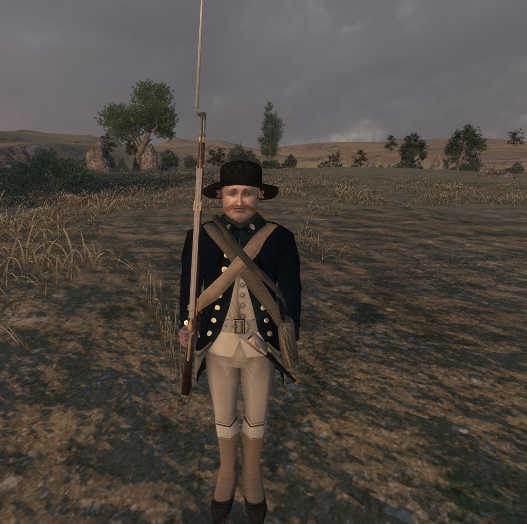 Mount blade napoleonic wars стим фото 64