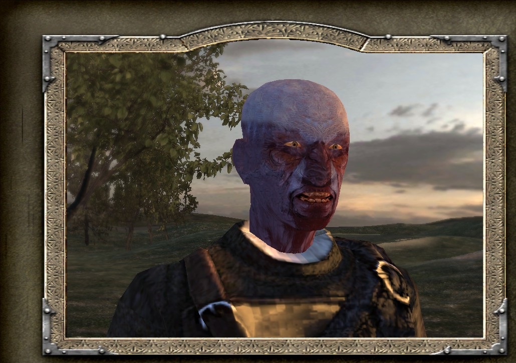 lord of the rings mount and blade warband mod