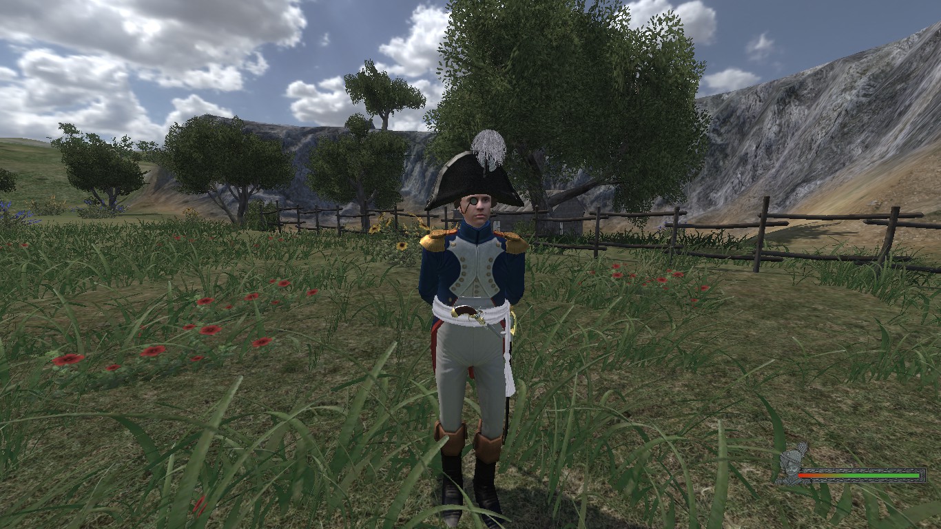 Mount blade napoleonic wars стим фото 84