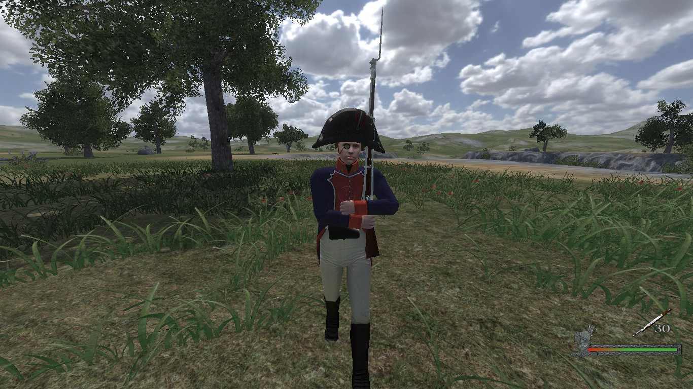 Mount blade napoleonic wars стим фото 44