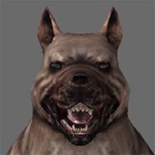 neutral teeth file - tmp7704 mod for Dragon Age: Origins - Mod DB