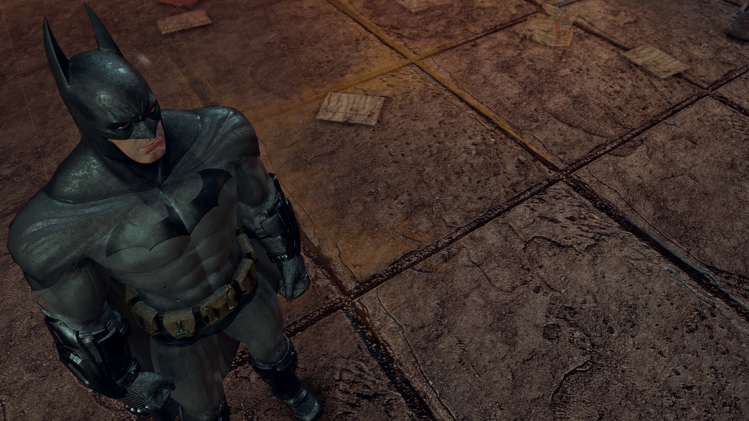 Image 3 - Batman: Arkham City Graphics Mod - WiP for ...