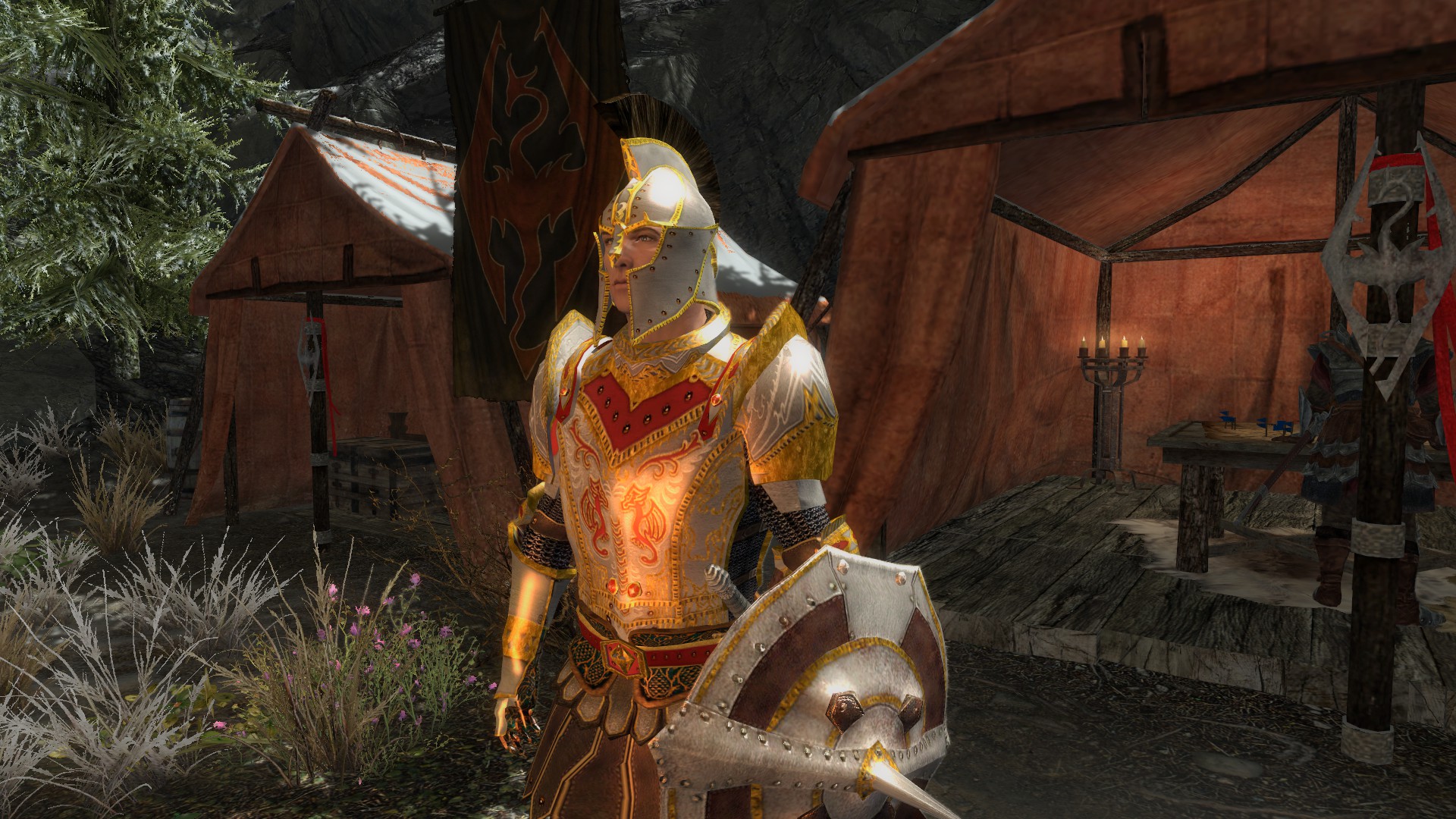 Imperial Watch Armor image - Weapons and Armors from Cyrodiil mod for Elder...