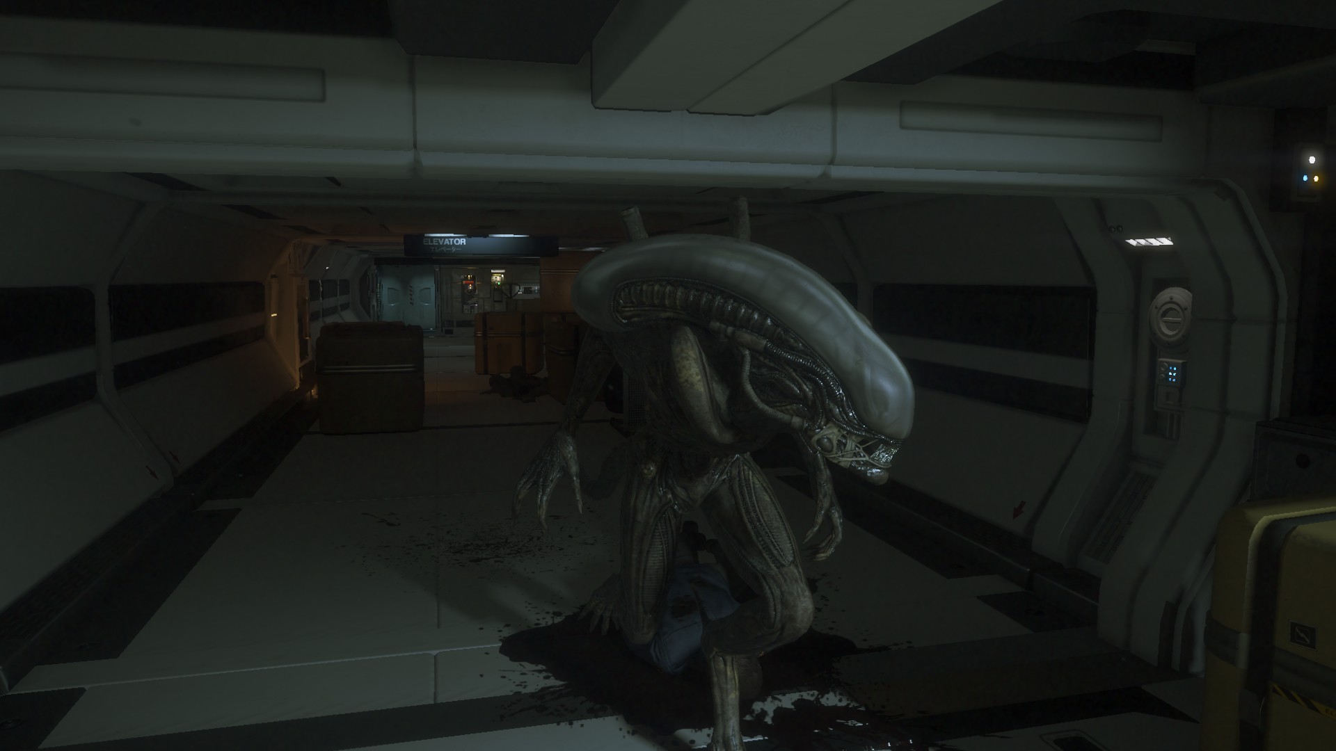 1920px x 1080px - Agressive Alien Mod For Alien Isolation Mod Db | Free Hot Nude Porn Pic  Gallery