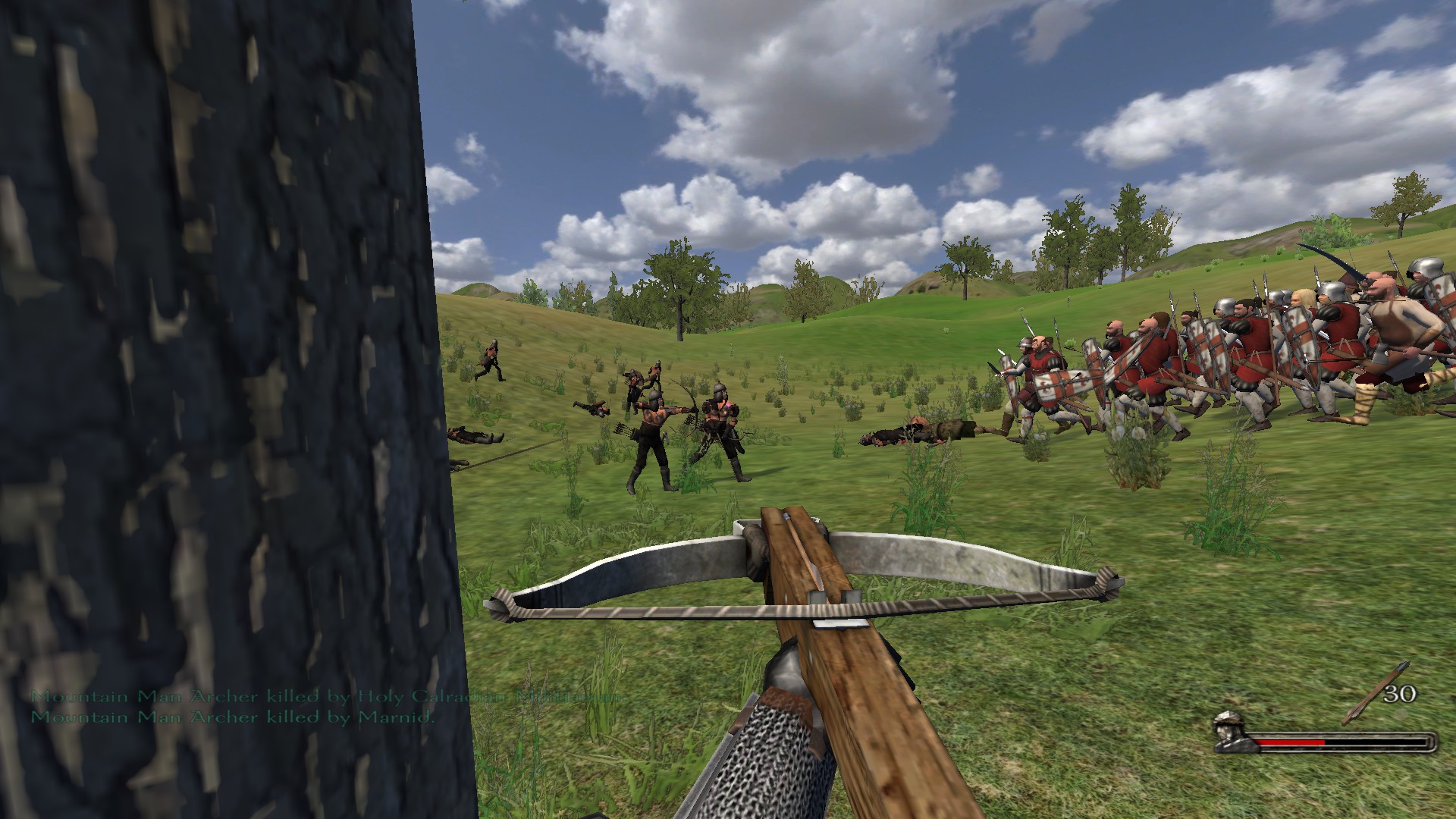 русификатор для mount and blade with fire and sword стим фото 107
