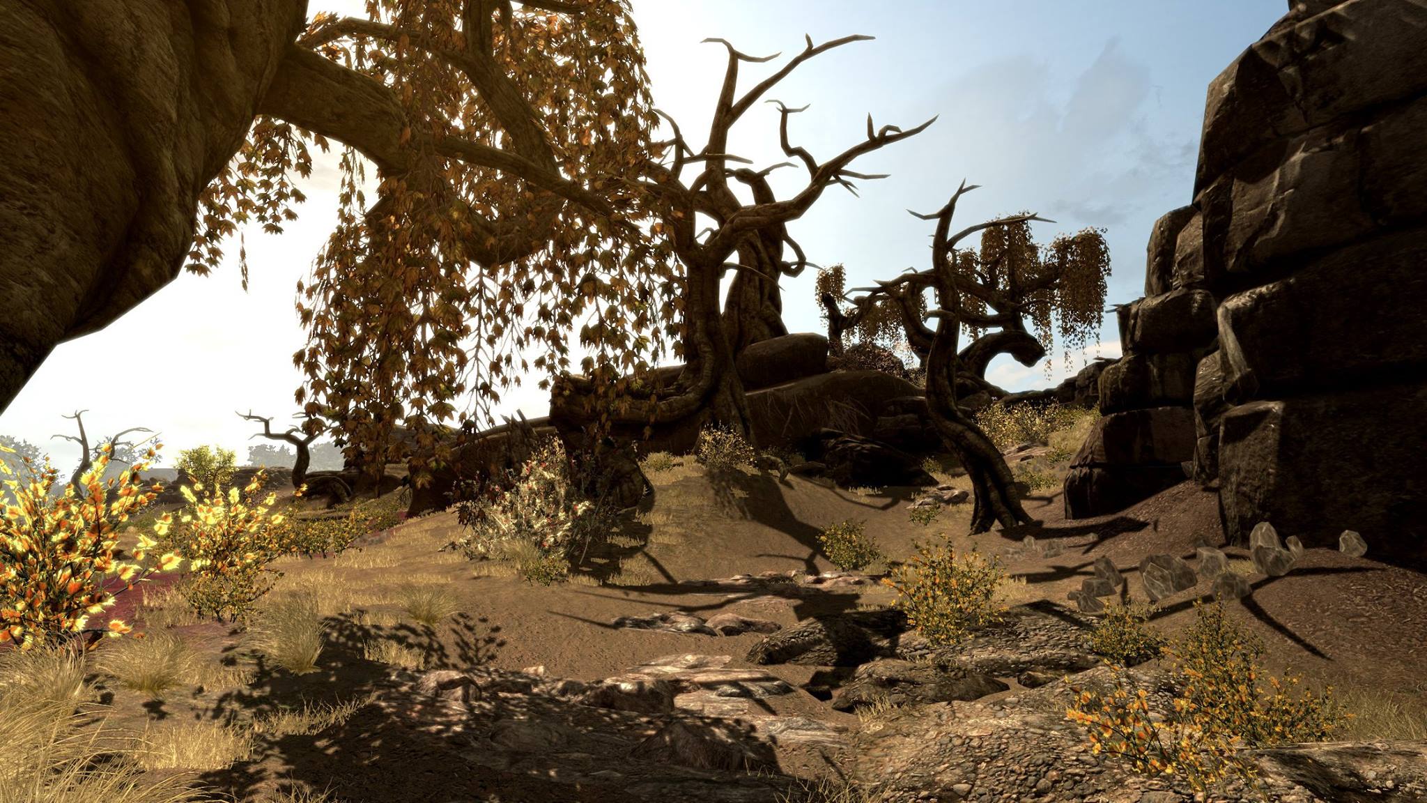 The elder scrolls skywind обзор