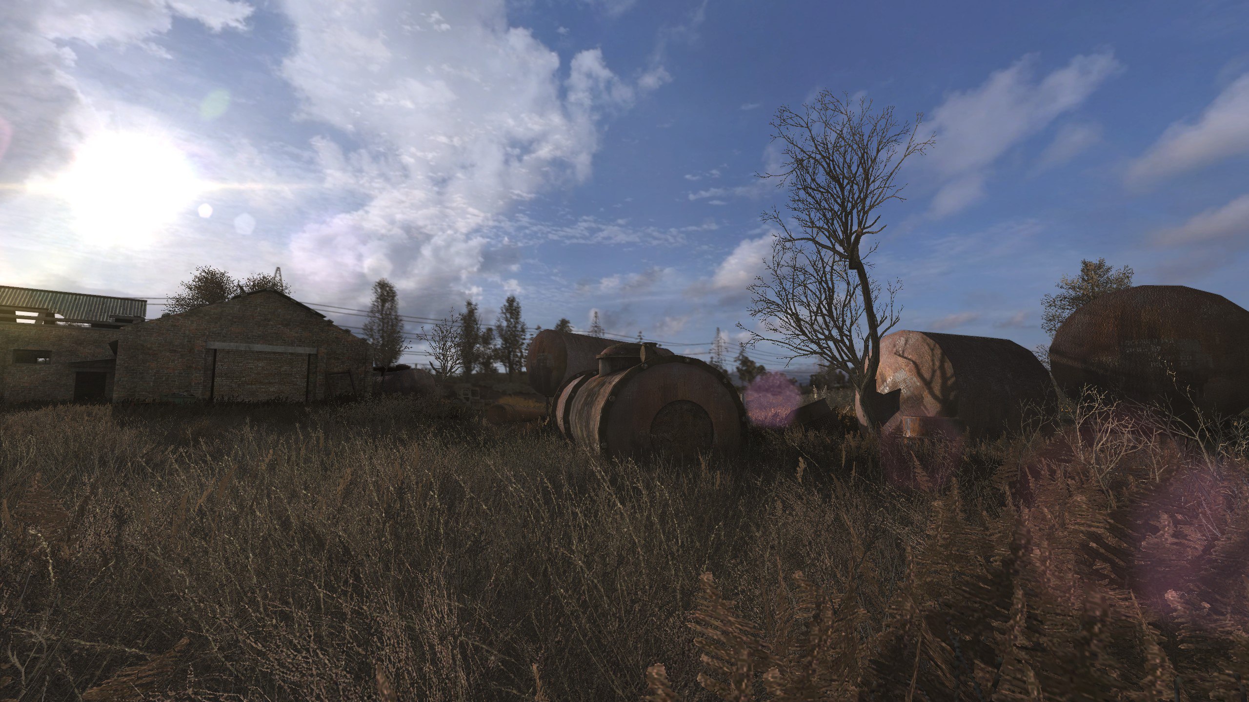 Swamp image - S.T.A.L.K.E.R.: CoM mod for S.T.A.L.K.E.R.: Call of ...