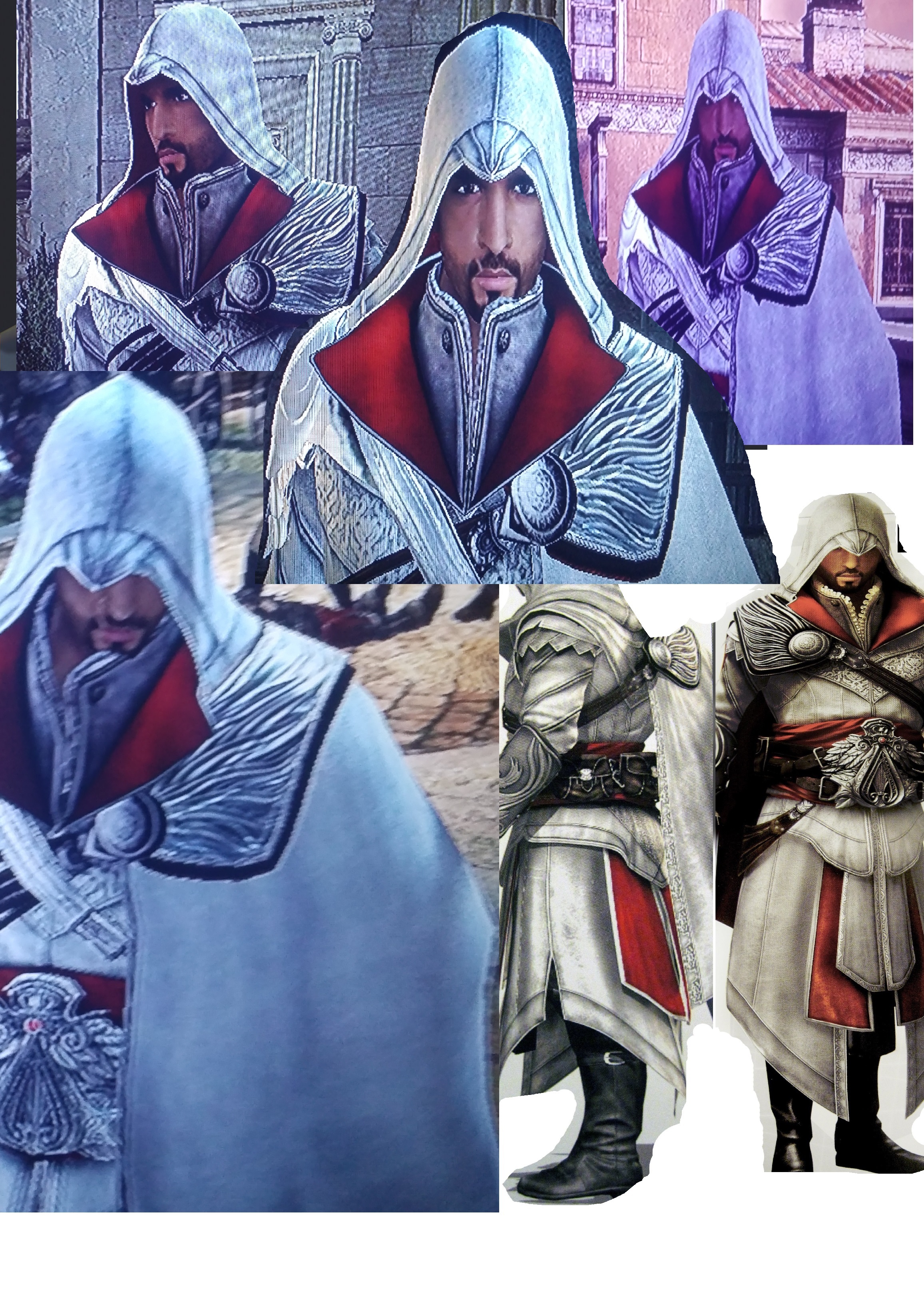 Assassin s creed brotherhood mods. Ассасин Крид бразерхуд. Ассасин 3 бразерхуд. Папская гвардия Assassins Creed Brotherhood. Assassins Creed Brotherhood e3 outfit.