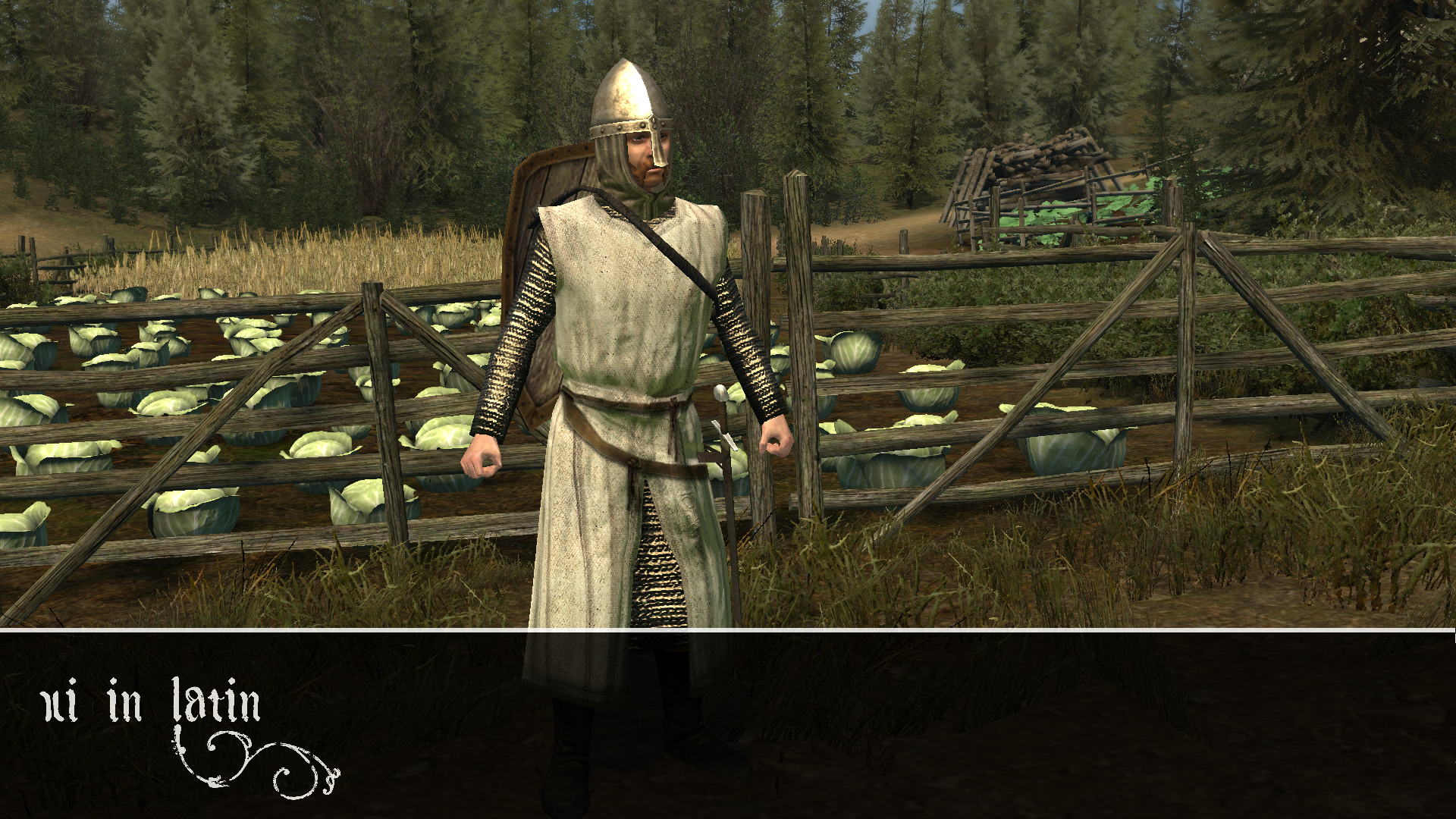mount and blade warband mods to play before bannerlord