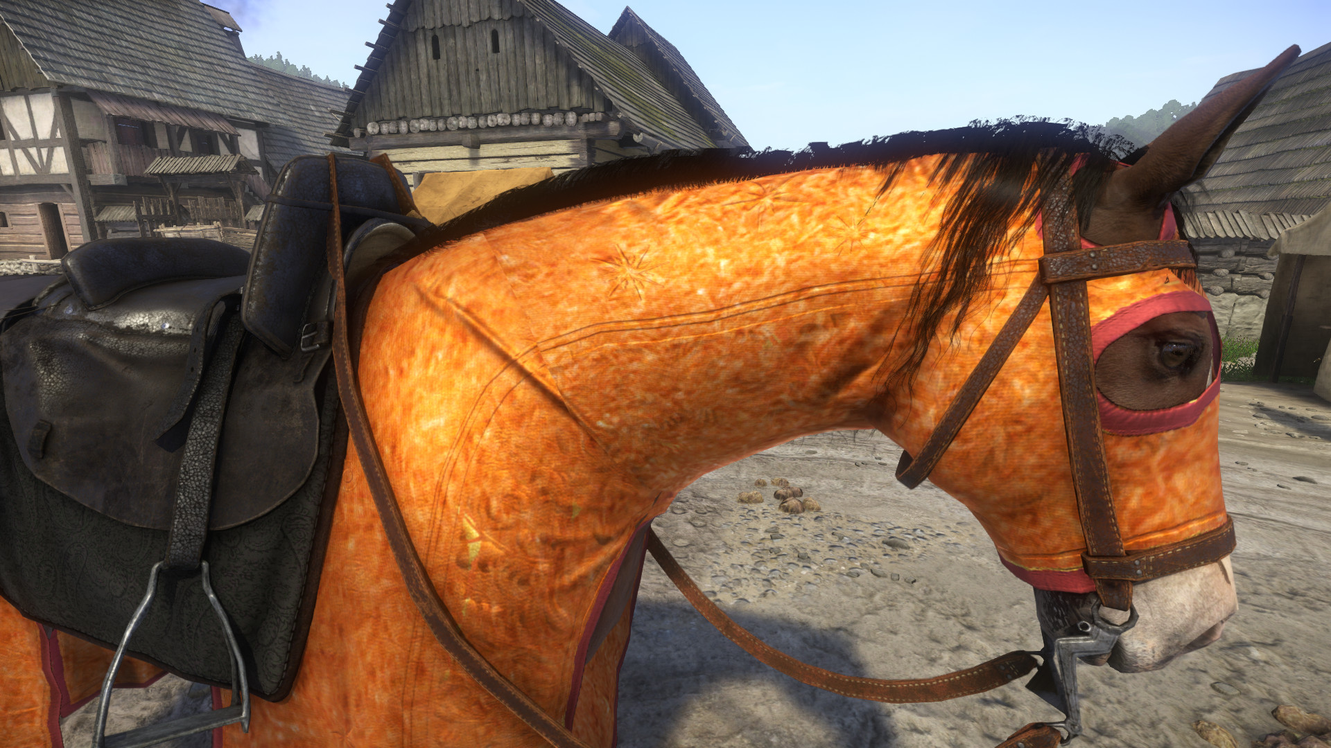 best horse in kingdom come