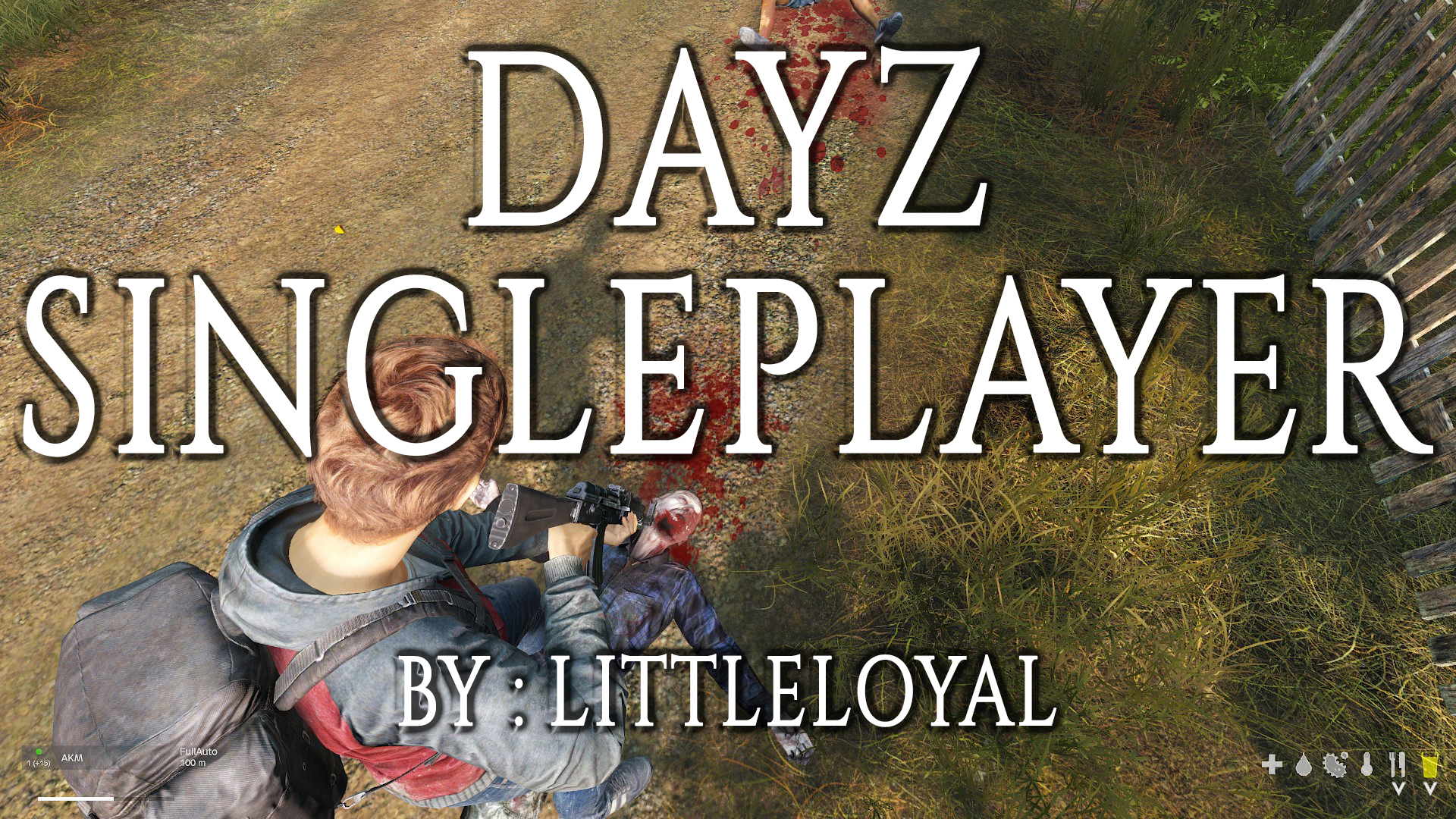 how to play dayz single player