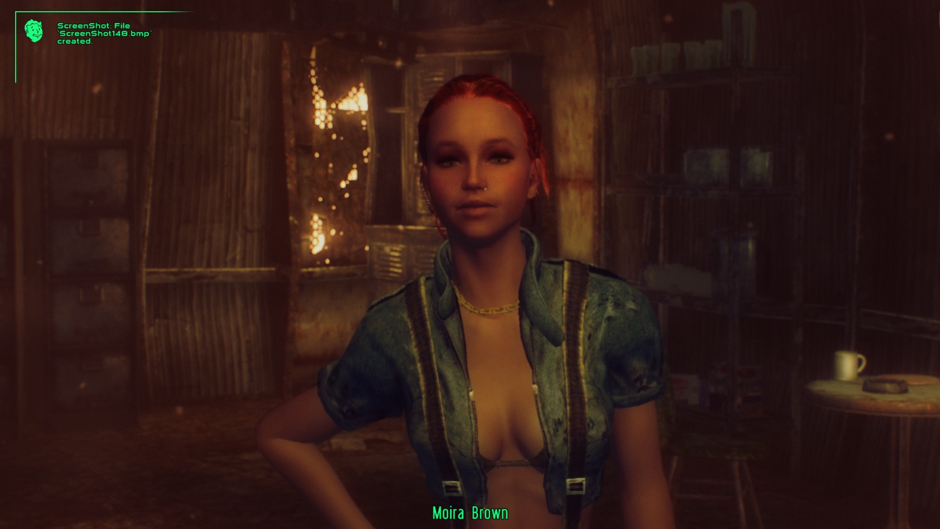 fallout 3 character mods