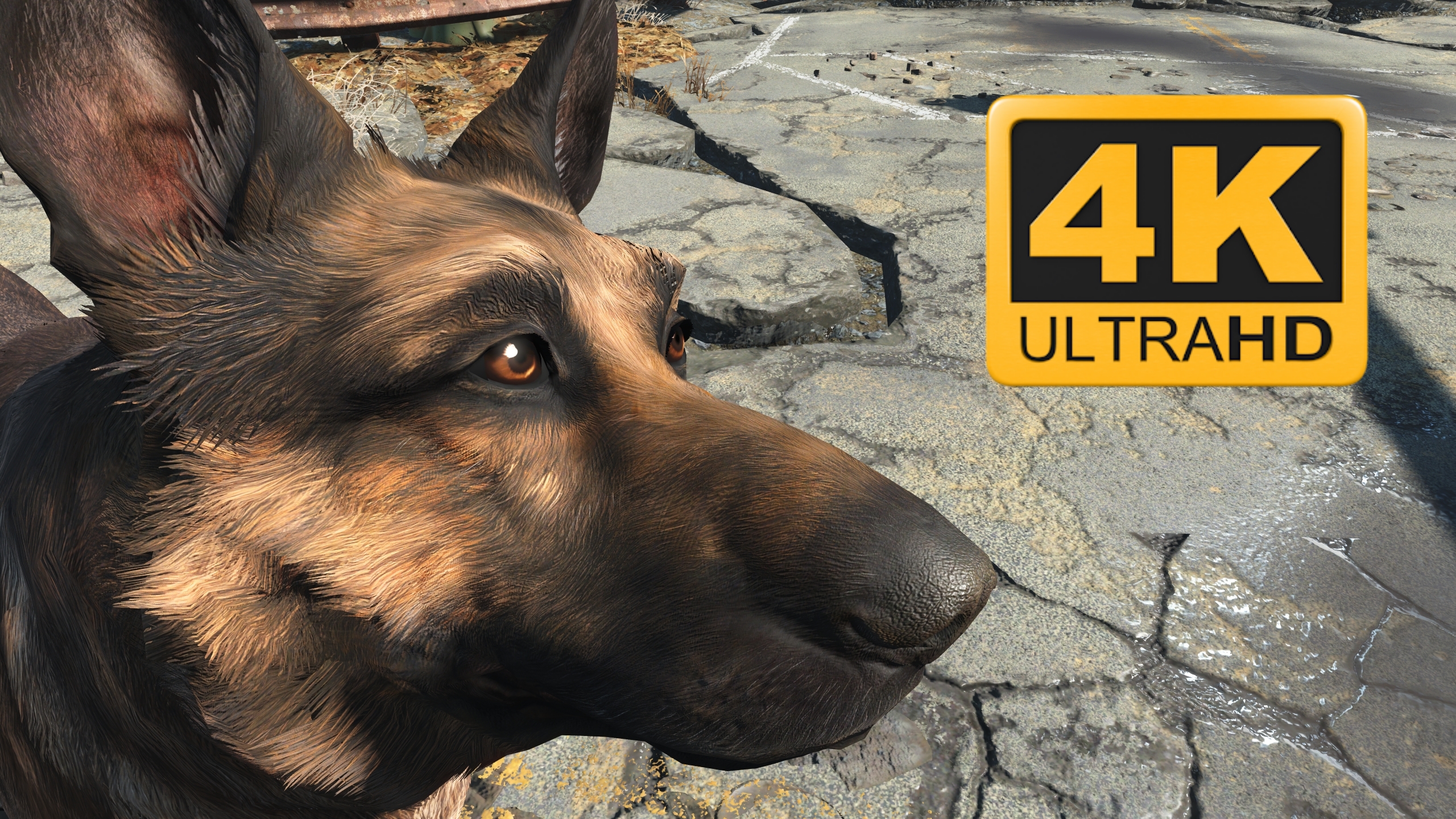 Fallout 4 4k dogmeat фото 3