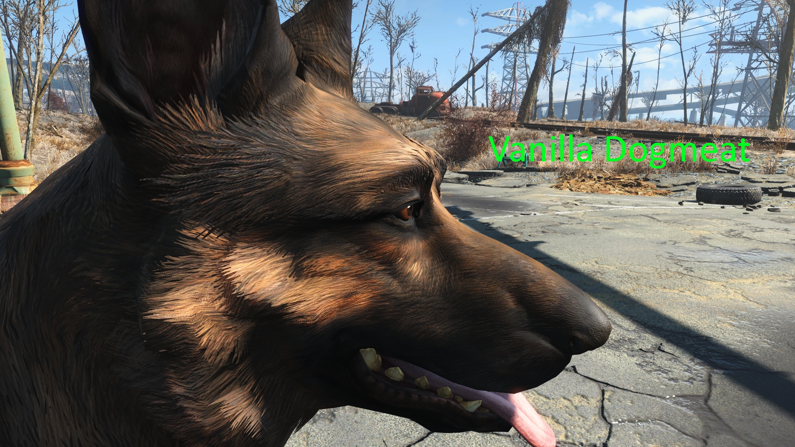 Image 7 - 4K Dogmeat mod for Fallout 4 - ModDB