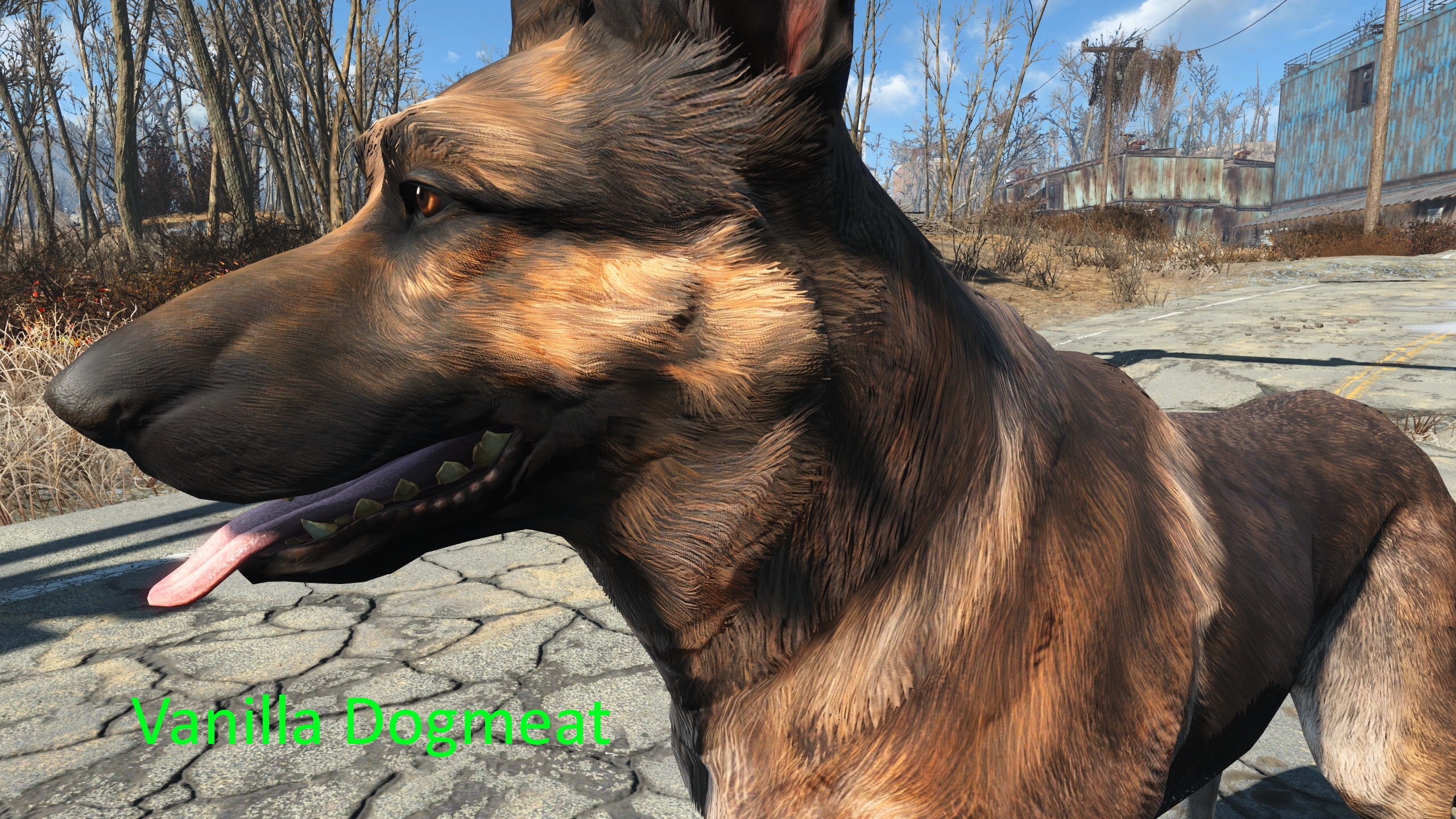Image 9 - 4K Dogmeat mod for Fallout 4 - Mod DB