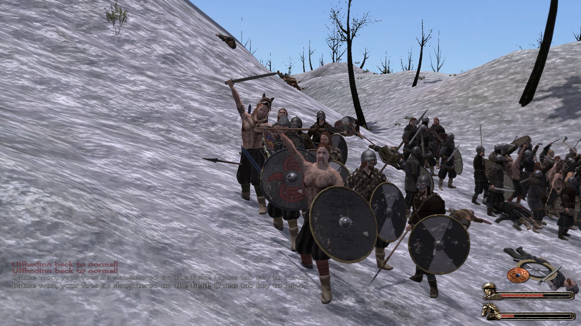 Image 4 - Vagn`s armour mod for Viking Conquest for Mount & Blade:...
