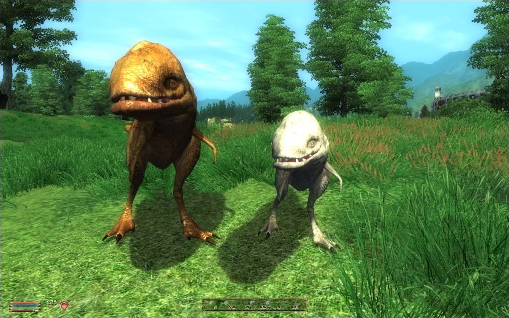 Image Martigen's Monster mod for Elder Scrolls IV Oblivion ModDB