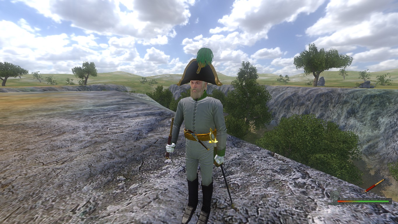 Mount blade napoleonic wars стим фото 70