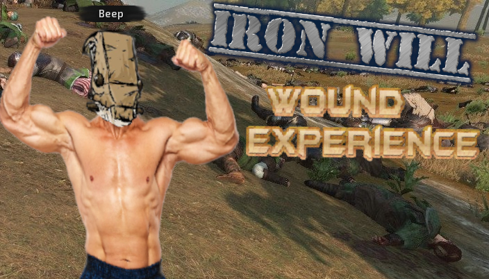 mount and blade experience