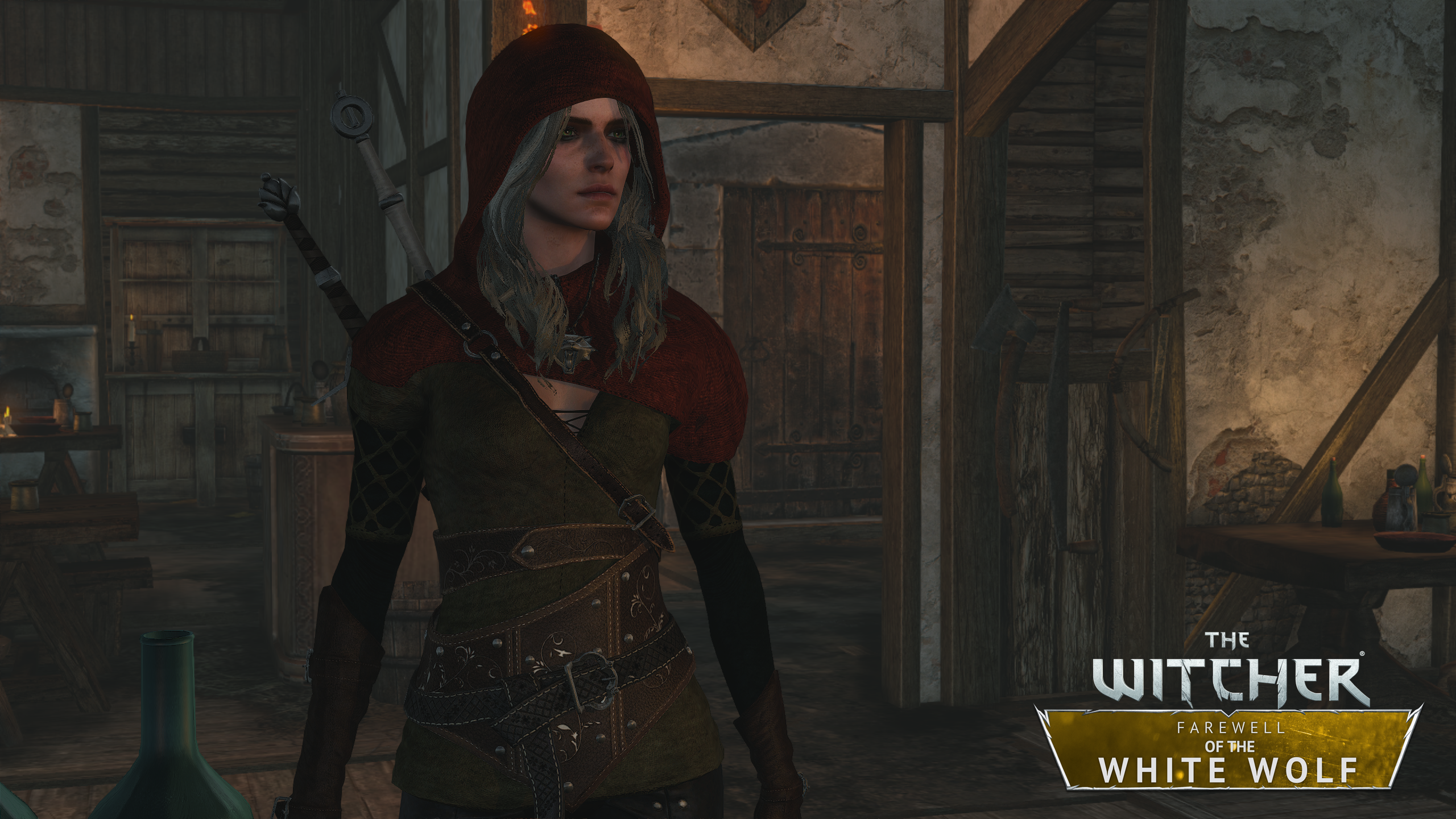 Farewell of the White Wolf mod for The Witcher 2: Assassins of